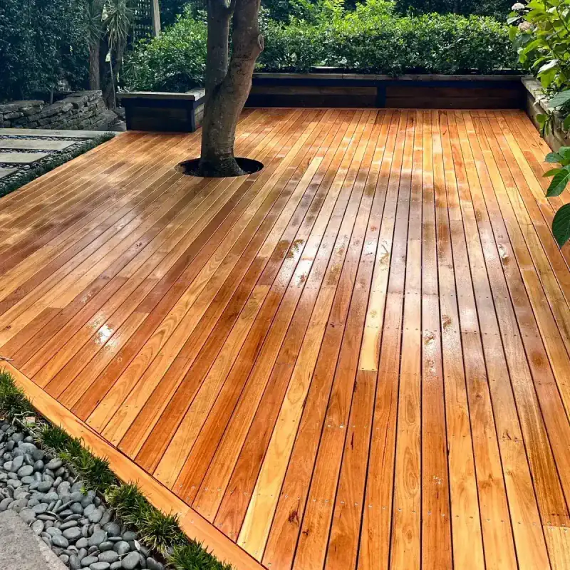 Freshly oiled timber deck built around a tree trunk in a Sydney backyard