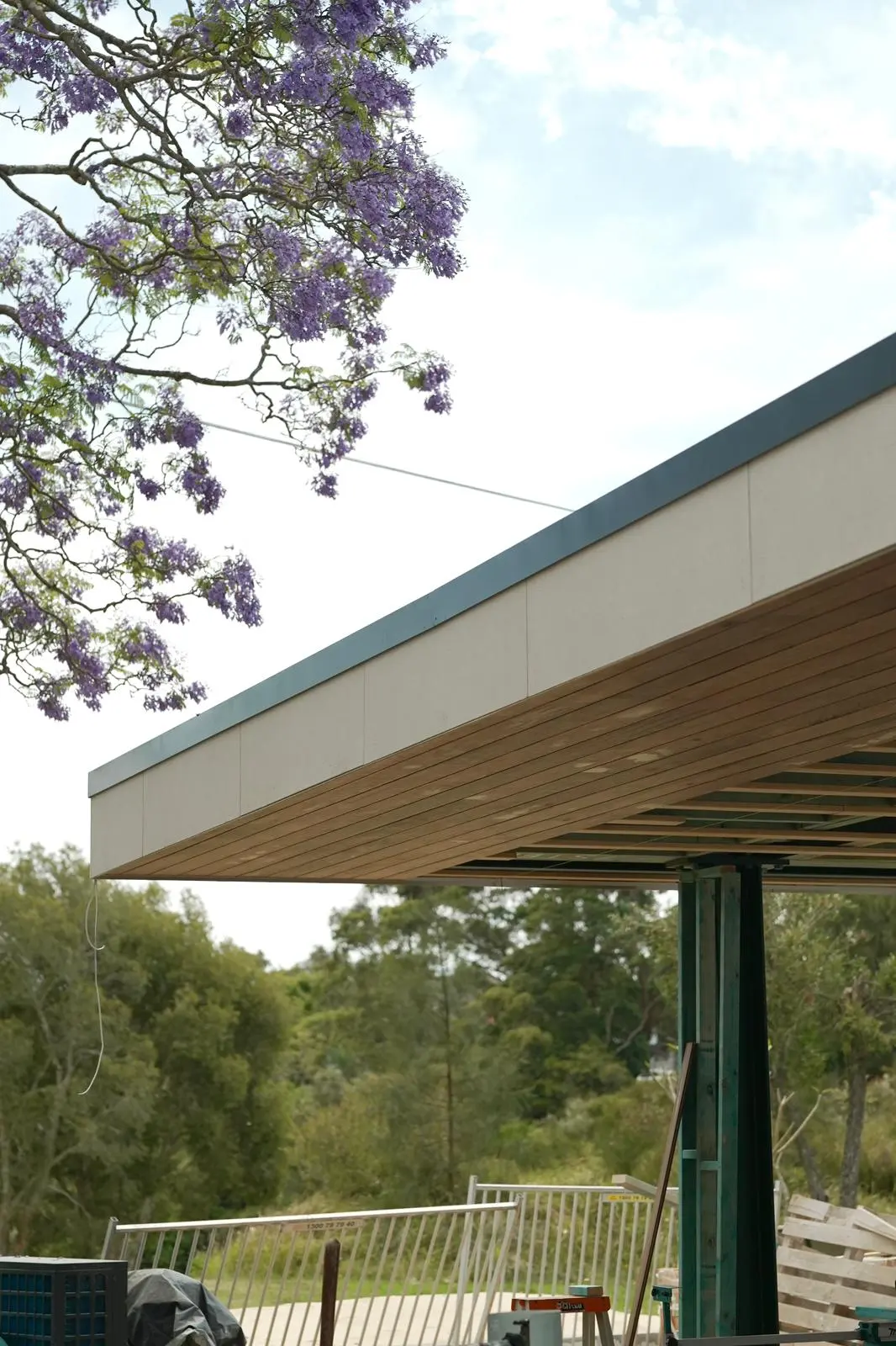 The cantilevered cabana roof in Northbridge, lined underneath in spotted gum, seen from below against a flowering jacaranda